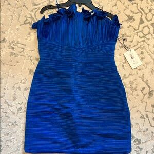 AMUR Ashtyn Mini Dress NWT
